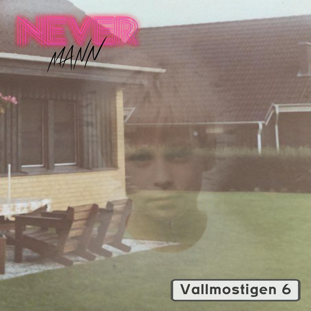 Vallmostigen 6 cover art