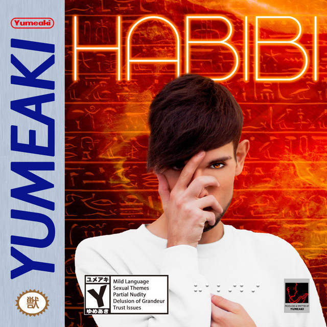 Habibi cover art