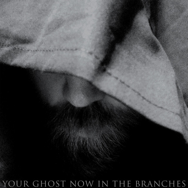 Your Ghost Now in the Branches cover