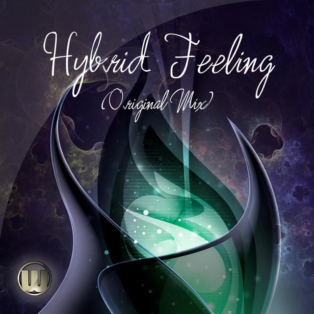 Hybrid Feeling cover