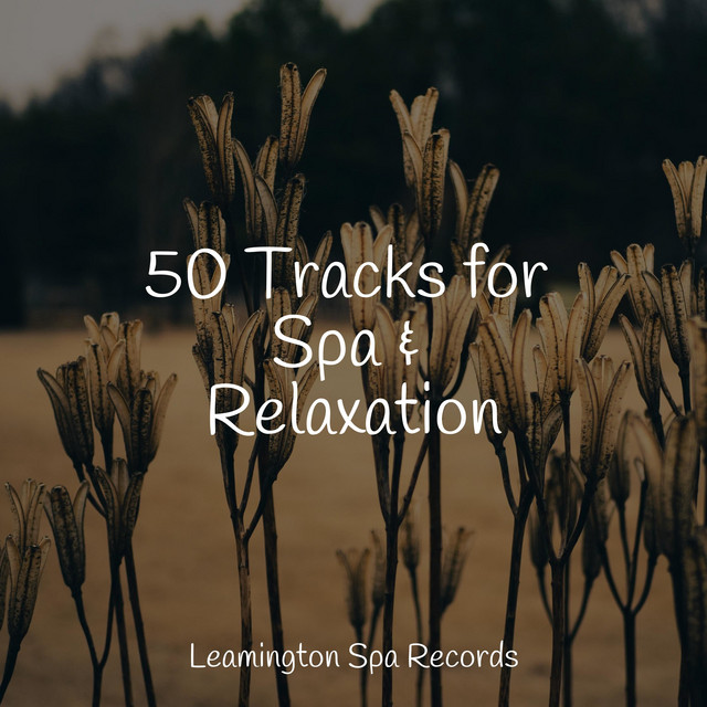 50 Tracks for Spa & Relaxation - Album by Sampling XL | Spotify
