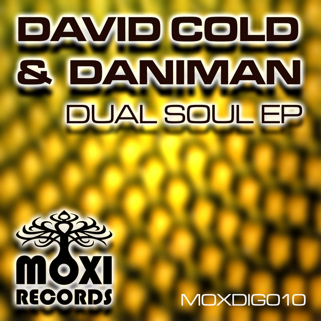 Dual Soul cover art