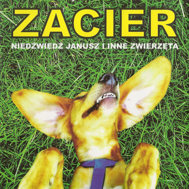 Niedźwiedź Janusz i inne zwierzęta cover art