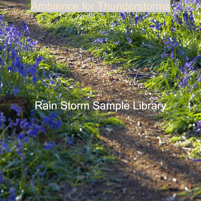 Ambience for Thunderstorms cover art