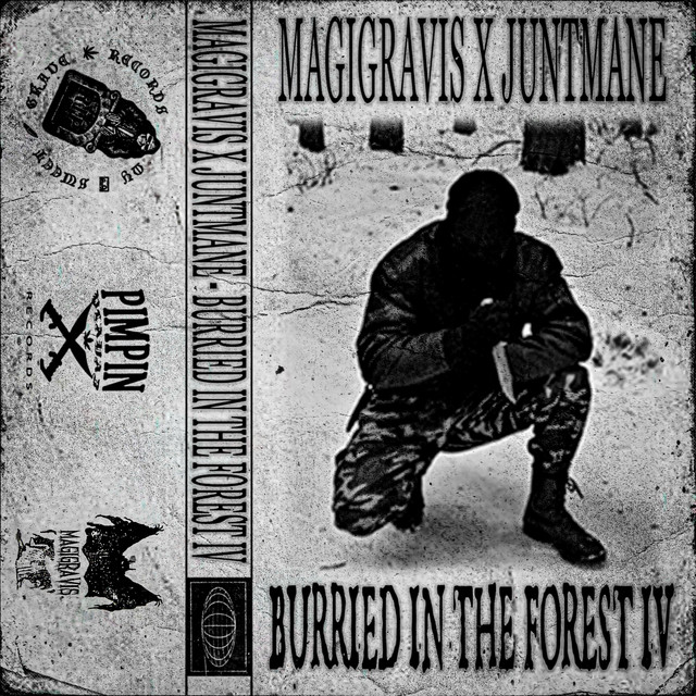 Cover art: BURIED IN THE FOREST IV — Magigravis