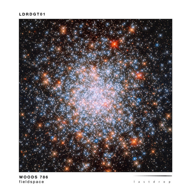 Woods 786 - Fieldspace cover art