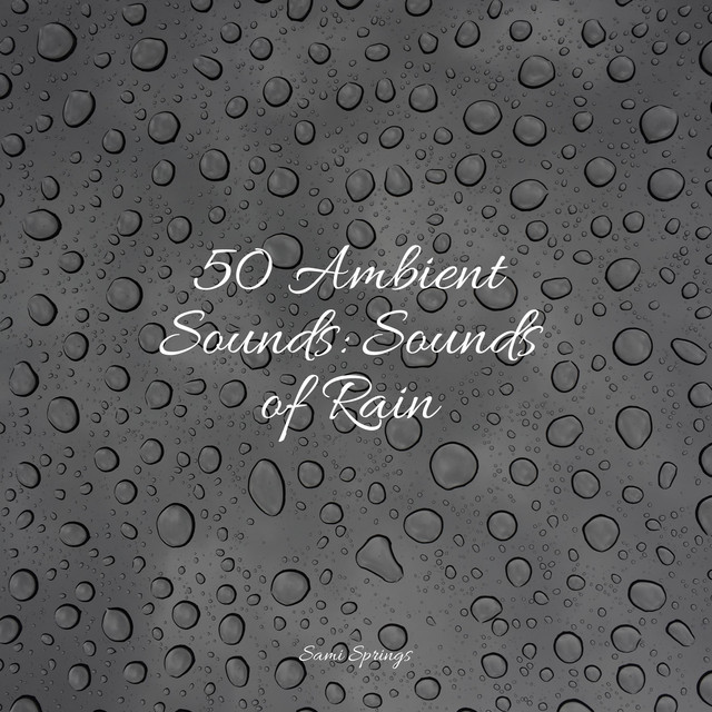50 Ambient Sounds: Sounds of Rain - Album by Sleep Music System | Spotify