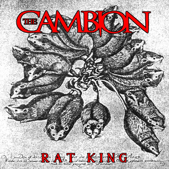 Rat King cover