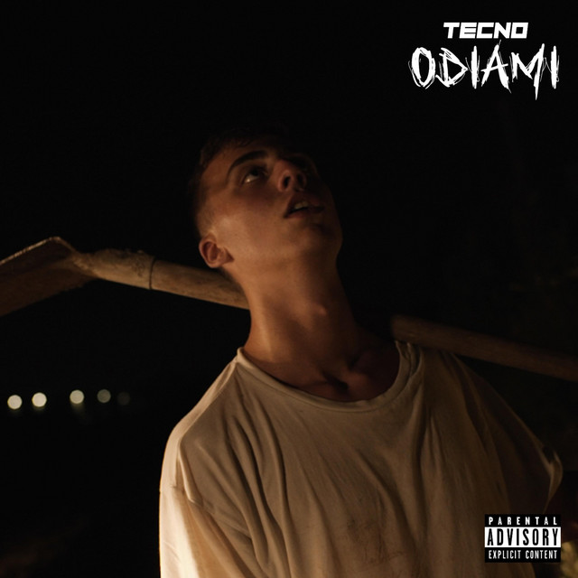 Odiami cover art