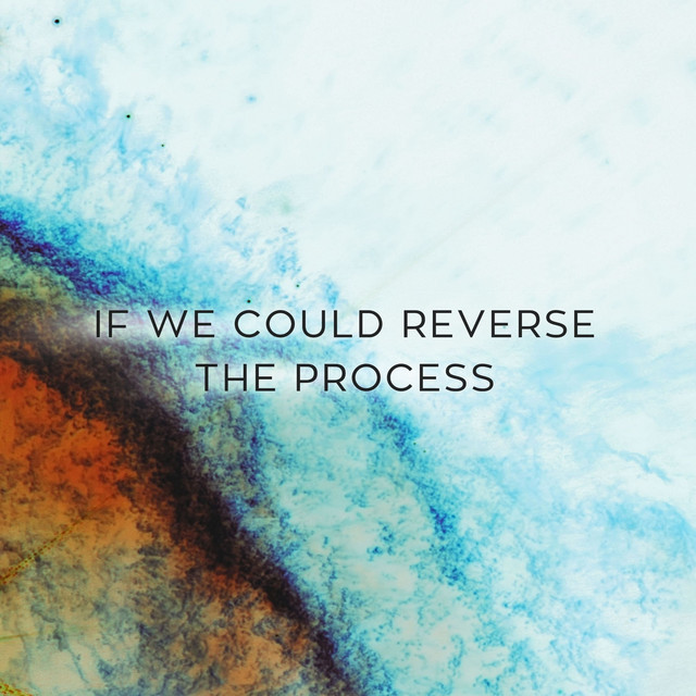 If We Could Reverse the Process - Mars Massive Remix cover art