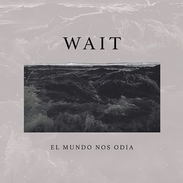 El Mundo Nos Odia cover art