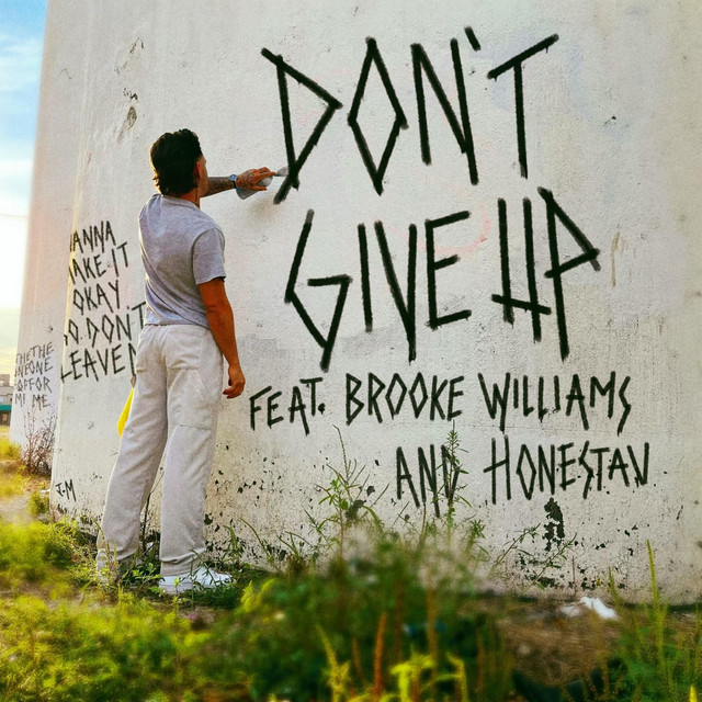 don't give up cover art