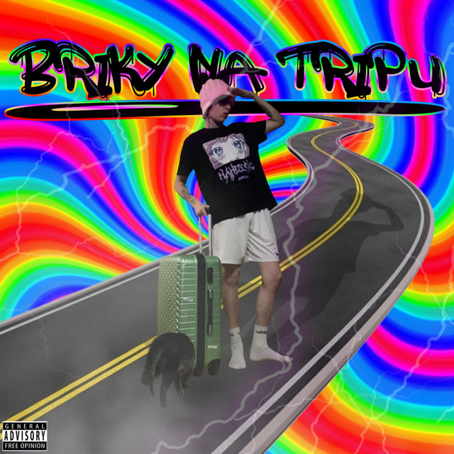 Briky na tripu cover art