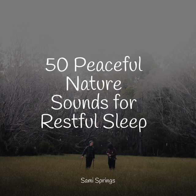 50 Peaceful Nature Sounds for Restful Sleep - Album by Classical ...