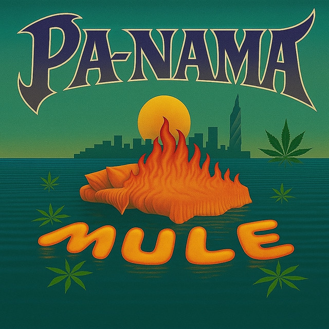 PA-NAMA
