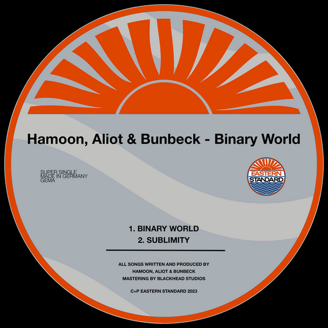Binary World cover art