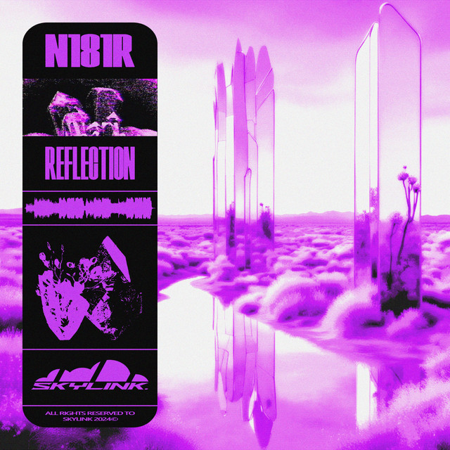 Reflection cover art