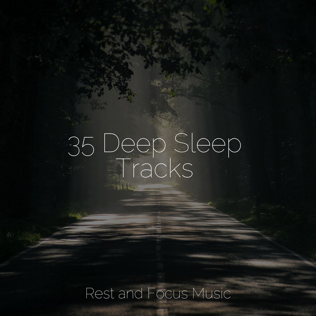 35 Deep Sleep Tracks - Album by Easy Sleep Music | Spotify