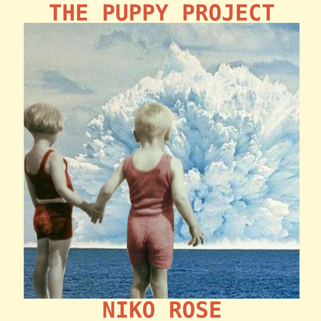 The Puppy Project cover art