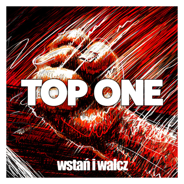 Wstań i walcz cover art