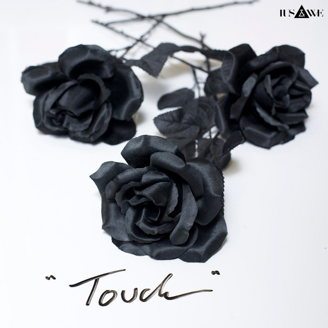 Touch cover art