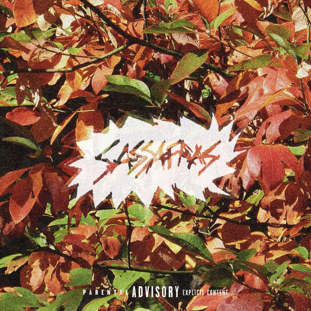 SASSAFRAS cover art