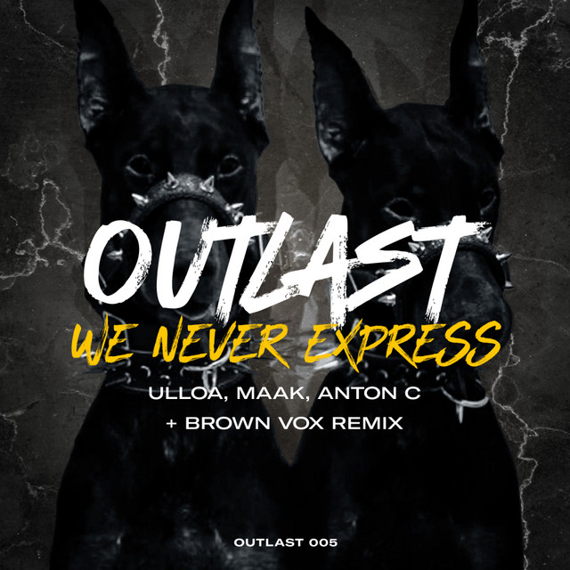We Never Express cover art