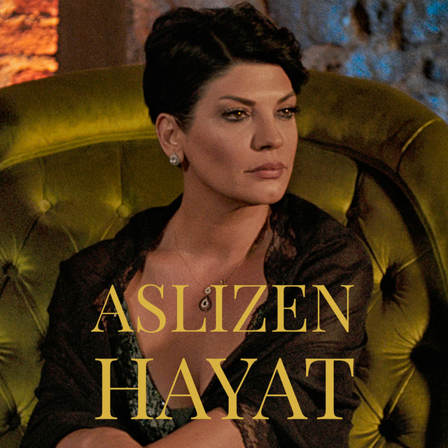 Hayat cover art