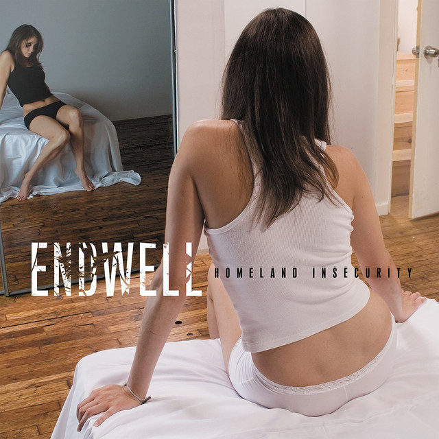 Homeland Insecurity cover art