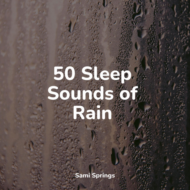 50 Winter Rain Sounds for Sleep - Album by Nature Sounds Artists | Spotify