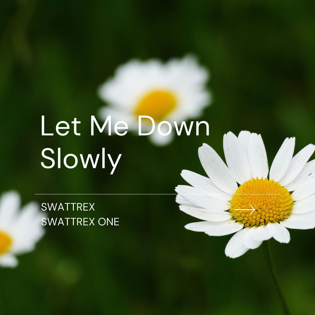 Let Me Down Slowly cover