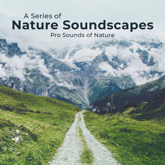 A Series of Nature Soundscapes - Album by Pro Sounds of Nature | Spotify