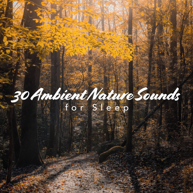 30 Ambient Nature Sounds for Sleep - Album by Sleep Sounds Ambient ...