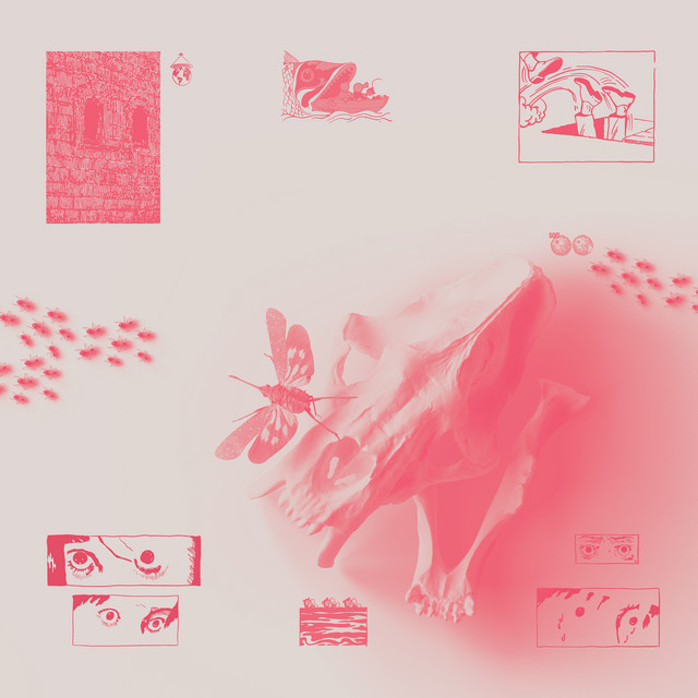 Wein cover art