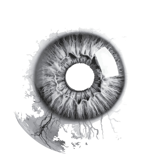 CNSM cover art