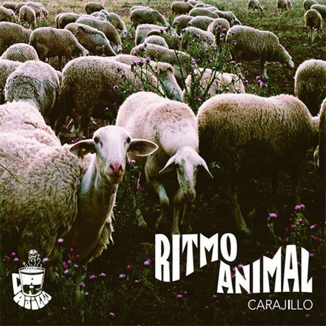 Ritmo Animal cover art