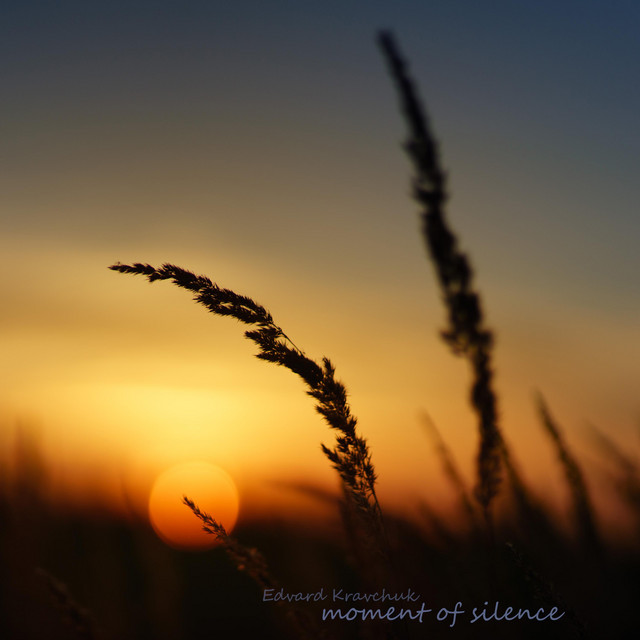 Обкладинка: Moment of Silence — Edvard Kravchuk