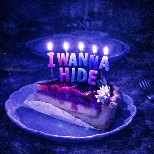 I WANNA HIDE