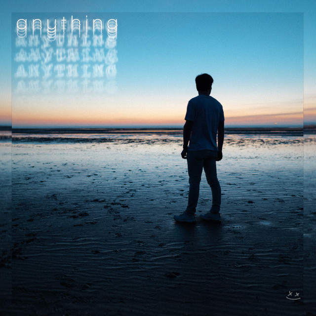 anything cover art