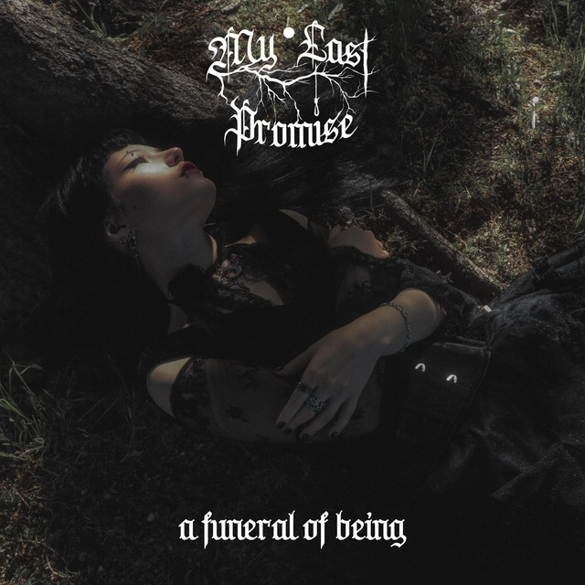A Funeral Of Being cover art