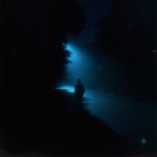 shards of the night