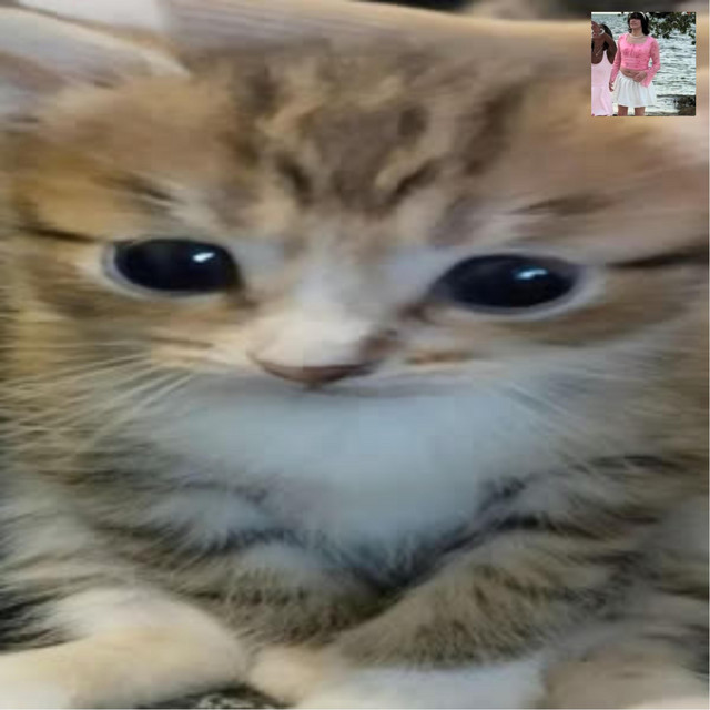 I Can't Fucking Sing