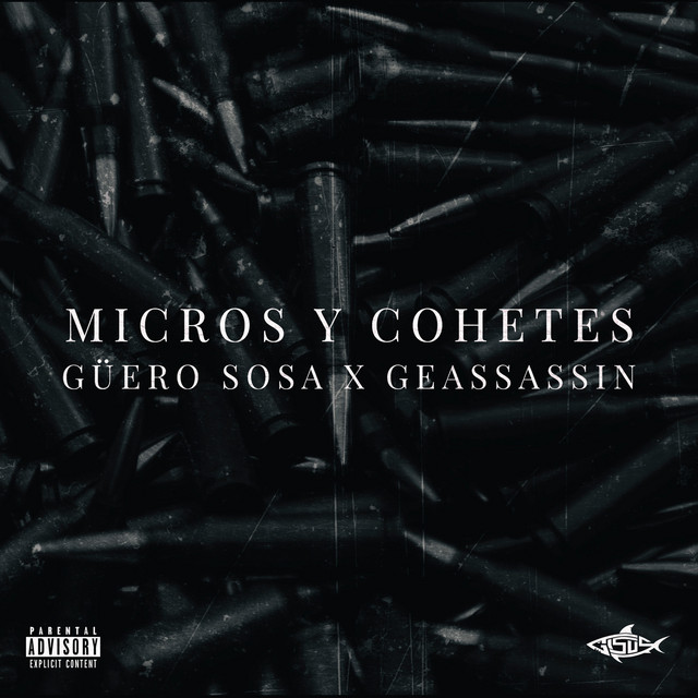 Micros Y Cohetes