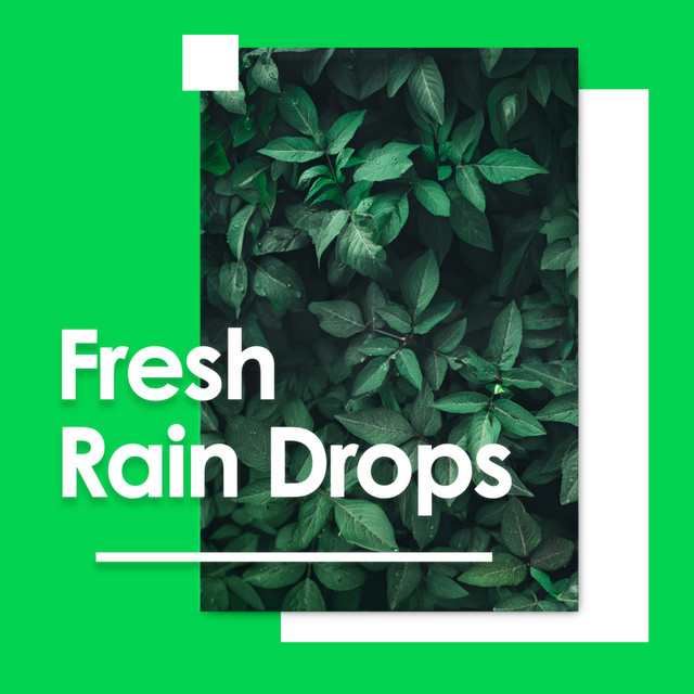 Fresh Rain Drops cover art