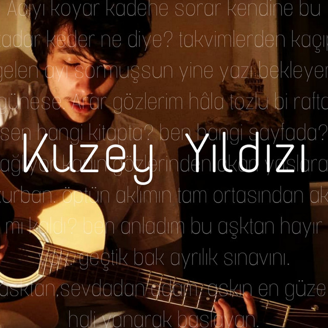 Kuzey Yıldızı cover art