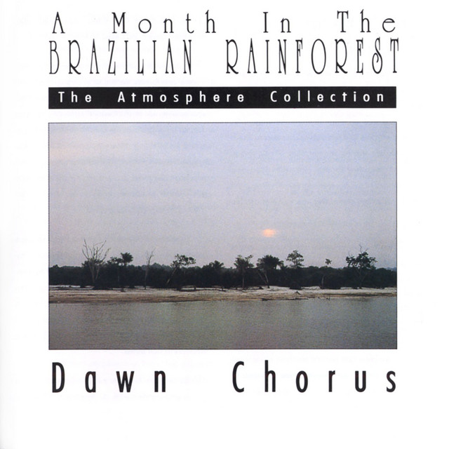 A Month In The Brazilian Rainforest: Dawn Chorus