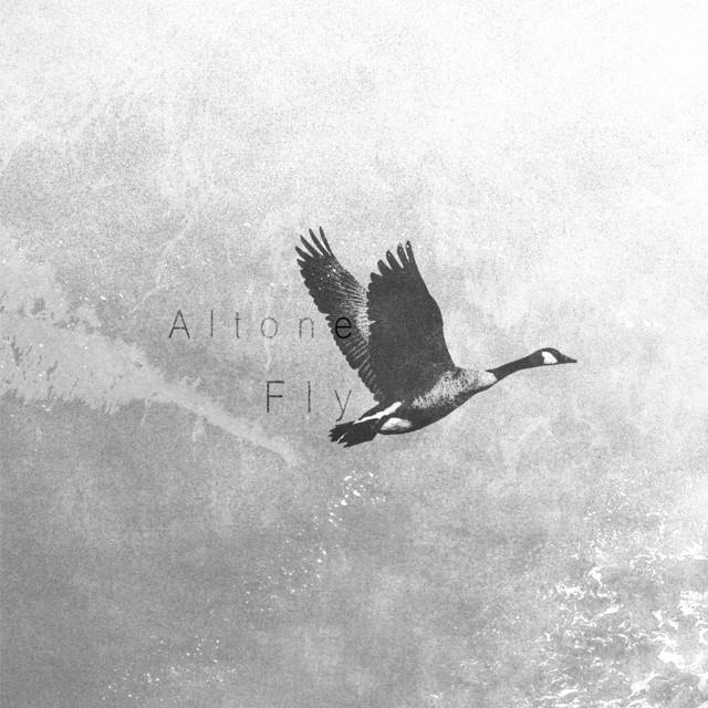 Fly cover art