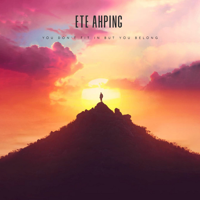 You Don't Fit in but You Belong cover art