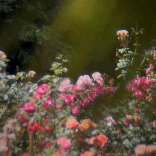 Sing Again cover art