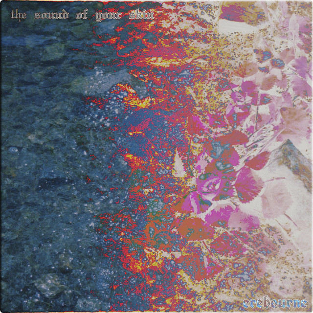 the sound of your skin cover art